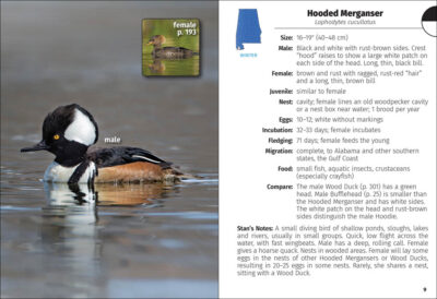 Birds of Alabama Field Guide - Image 3