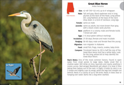 Birds of Alabama Field Guide - Image 5