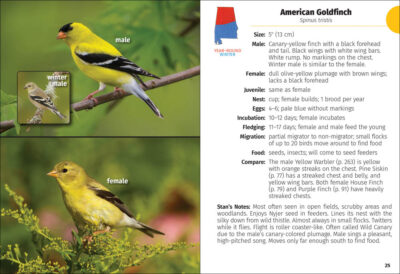 Birds of Alabama Field Guide - Image 6