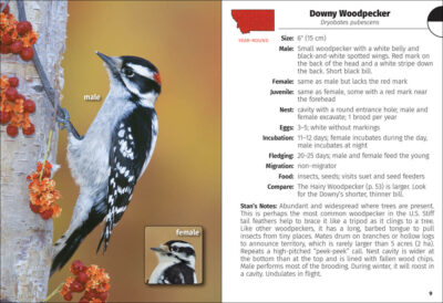 Birds of Montana Field Guide - Image 3