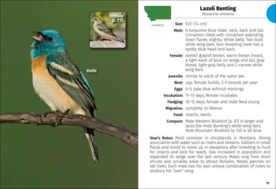 Birds of Montana Field Guide - Image 4