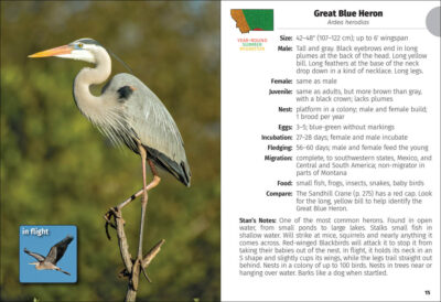 Birds of Montana Field Guide - Image 5