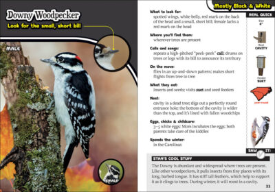 Kids' Guide to Birds of the Carolinas - Image 2