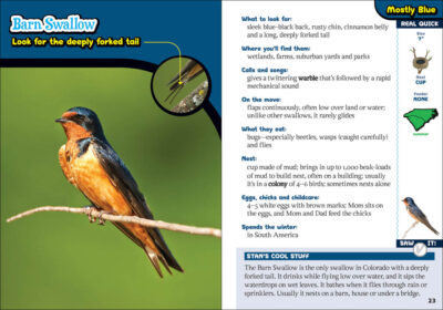 Kids' Guide to Birds of the Carolinas - Image 3