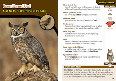 Kids' Guide to Birds of the Carolinas - Image 5
