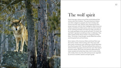 Wolves, Coyotes & Foxes - Image 4