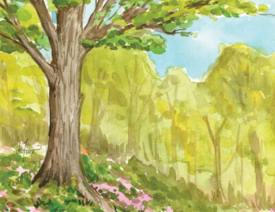 Seasons Boxed Note Card Assortment