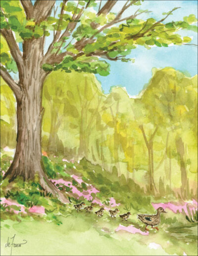 Seasons Boxed Note Card Assortment - Image 2