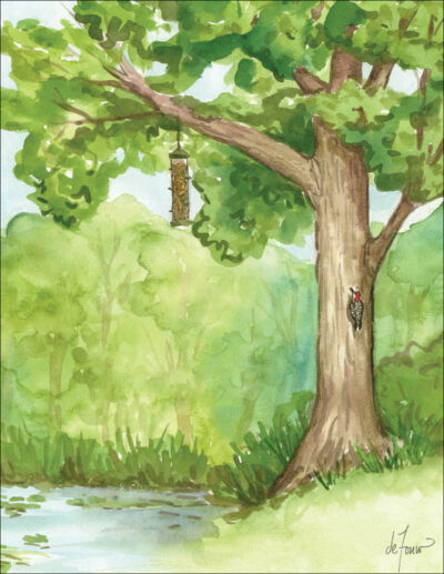 Seasons Boxed Note Card Assortment - Image 3