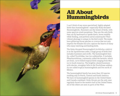 Attracting & Feeding Hummingbirds - Image 2