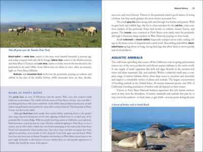 Point Reyes - Image 2