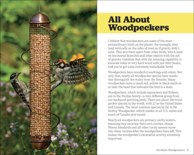 Attracting & Feeding Woodpeckers - Image 2