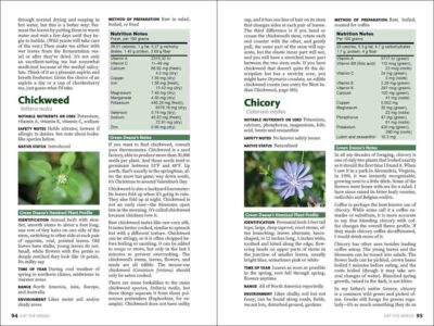 Eat the Weeds - Image 2