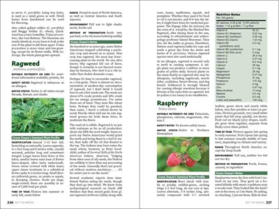 Eat the Weeds - Image 3