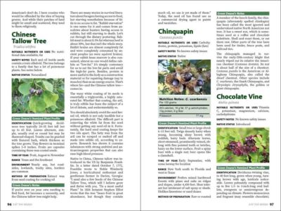 Eat the Weeds - Image 4