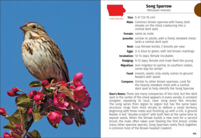 Birds of Iowa Field Guide - Image 3