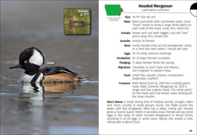 Birds of Iowa Field Guide - Image 4