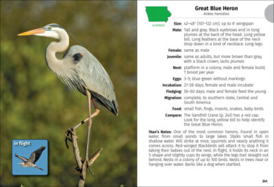 Birds of Iowa Field Guide - Image 5