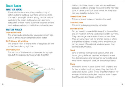 Seashells & Beachcombing for Kids - Image 2