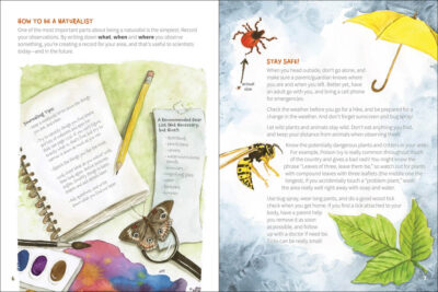 Nature Explorer - Image 2