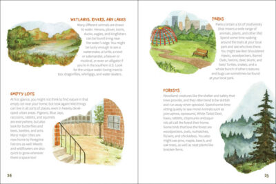Nature Explorer - Image 4