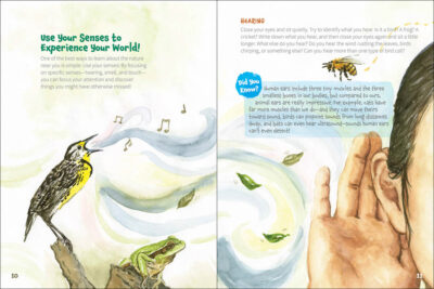 Nature Explorer - Image 5