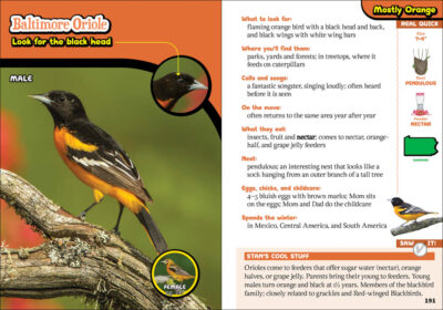 Kids' Guide to Birds of Pennsylvania - Image 2