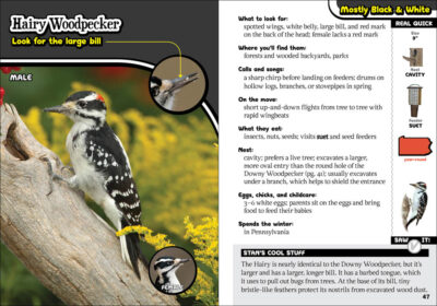 Kids' Guide to Birds of Pennsylvania - Image 3