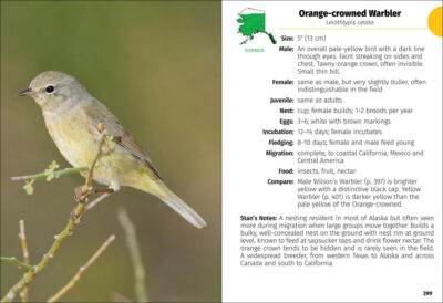 Birds of Alaska Field Guide - Image 2