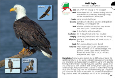 Birds of Alaska Field Guide - Image 3