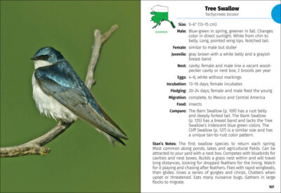 Birds of Alaska Field Guide - Image 4