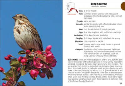 Birds of Alaska Field Guide - Image 5