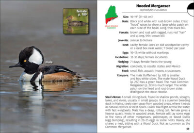 Birds of Maine Field Guide - Image 3