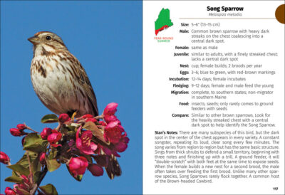 Birds of Maine Field Guide - Image 4