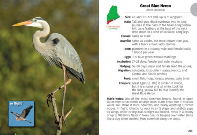 Birds of Maine Field Guide - Image 5