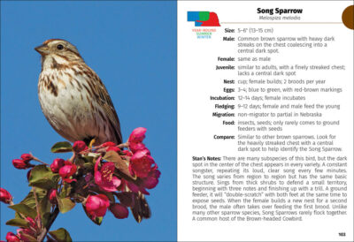 Birds of Nebraska Field Guide - Image 4