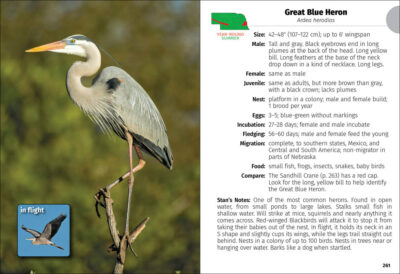 Birds of Nebraska Field Guide - Image 5