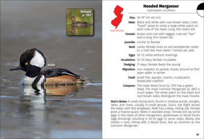 Birds of New Jersey Field Guide - Image 3