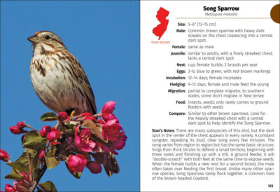 Birds of New Jersey Field Guide - Image 4