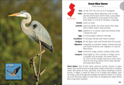 Birds of New Jersey Field Guide - Image 5