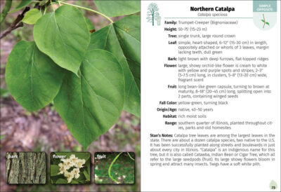 Trees of Illinois Field Guide - Image 2