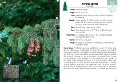 Trees of Illinois Field Guide - Image 3
