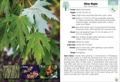 Trees of Illinois Field Guide - Image 4