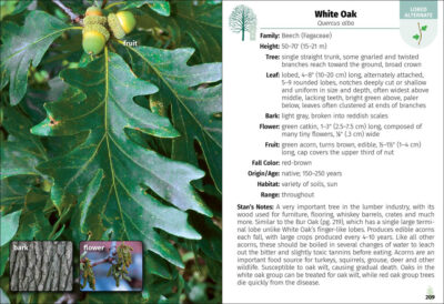 Trees of Indiana Field Guide - Image 5