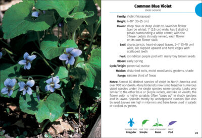Wildflowers of Texas Field Guide - Image 2