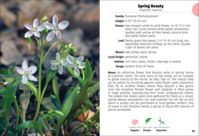 Wildflowers of Texas Field Guide - Image 4