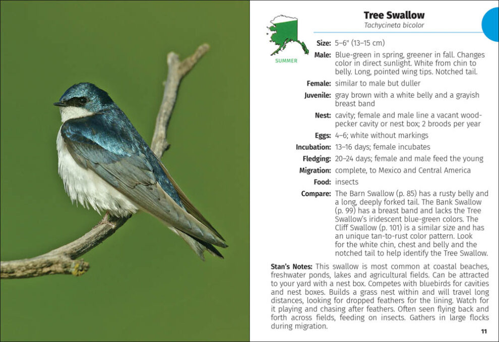 Birds of Alaska Field Guide AdventureKEEN Shop