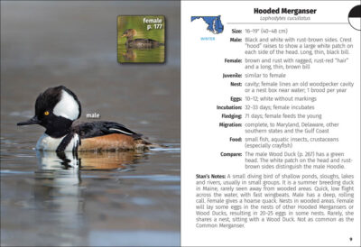 Birds of Maryland & Delaware Field Guide - Image 2