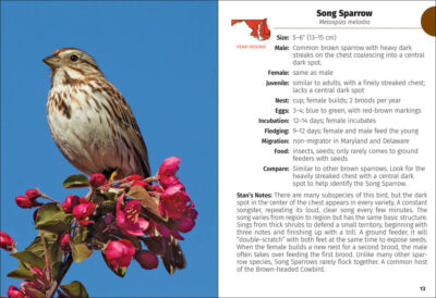 Birds of Maryland & Delaware Field Guide - Image 4