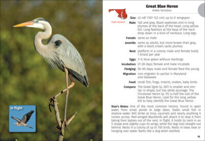 Birds of Maryland & Delaware Field Guide - Image 5